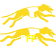  5FF